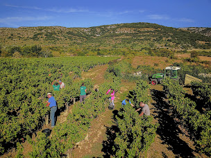Photo n°5 de Domaine de Vigier à Lagorce (Établissement vinicole)