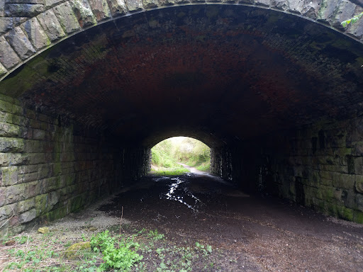 WITHNELL NATURE TRAIL - Thumbnail