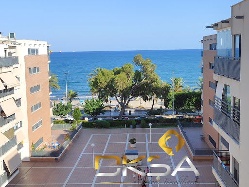 Dksa - Visual
