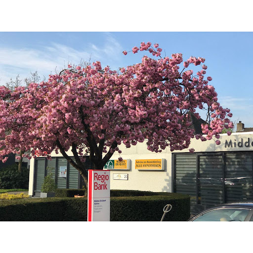 Midden Brabant Advies - Thumbnail