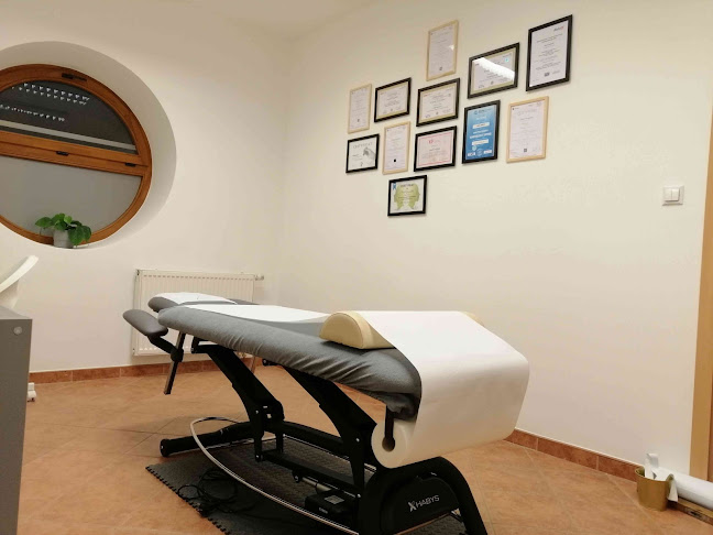 Krawiecka 7, 46-020 Opole