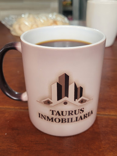 TAURUS INMOBILIARIA BIENES RAICES - Thumbnail