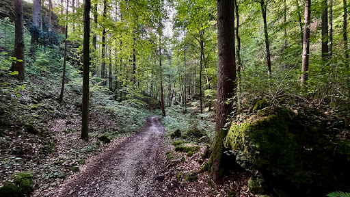 Bärental - Visual