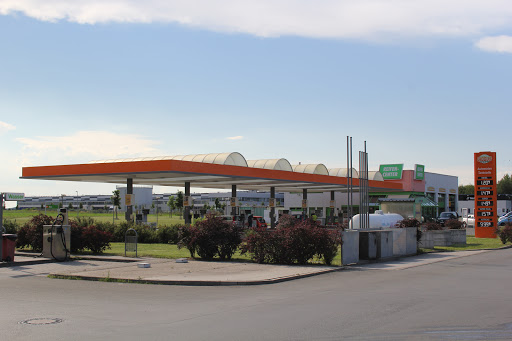 Globus Gera-Trebnitz - Visual