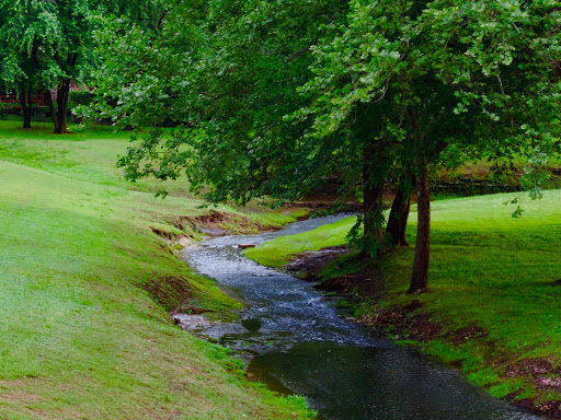 Ator Park - Visual