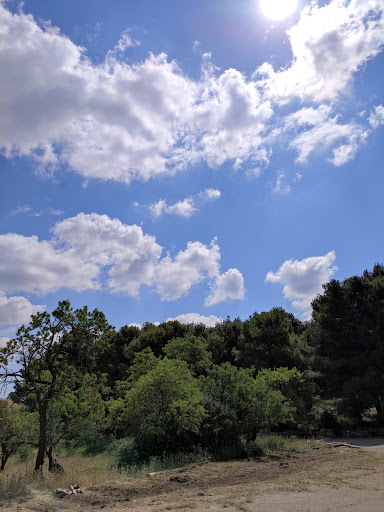 Bosco Comunale di Bitonto - Thumbnail