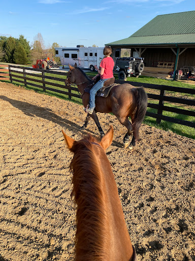 Freyja Stables & Arrow-Head Arena - Thumbnail