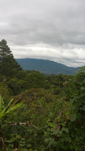 CONAFE TZONTEALJÁ