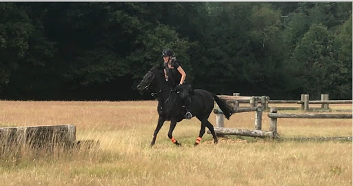 Chase Farm - Thumbnail