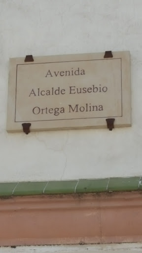 Grupo de Ocio Burladero