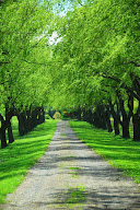 C. Prudhomme Conseil Épargne Protection à Liévin