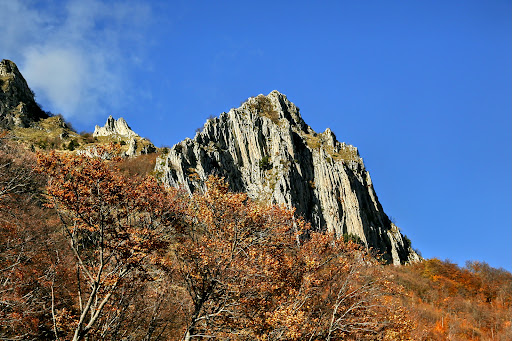 Parco del Serafino - Thumbnail