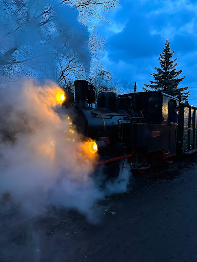 Dampf-Kleinbahn Mühlenstroth e.V. Gallery - Germany