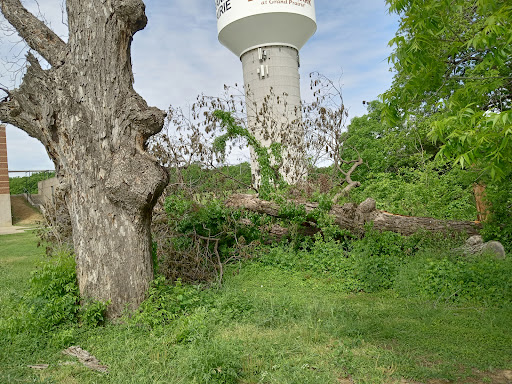 Bowles Park - Visual