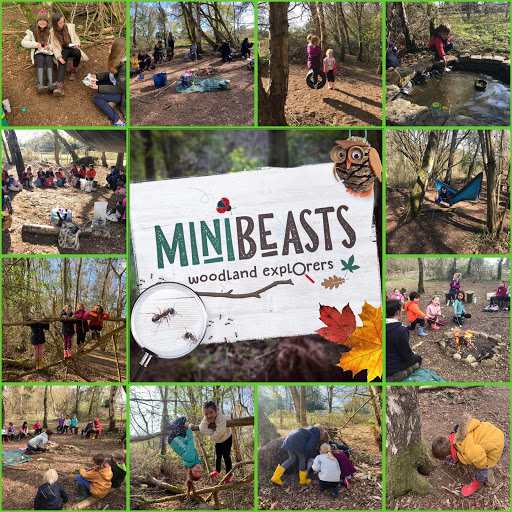 Minibeasts Woodland Explorers Forest School - Thumbnail