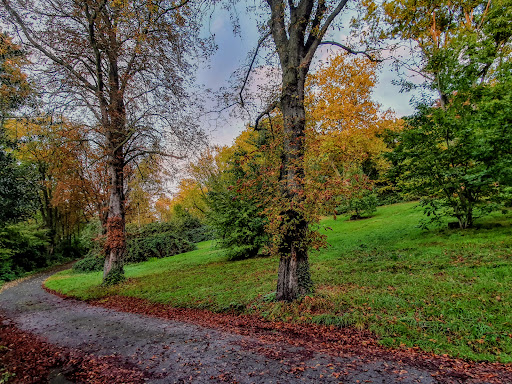 Städt. Friedhof Blumenstraße - Thumbnail