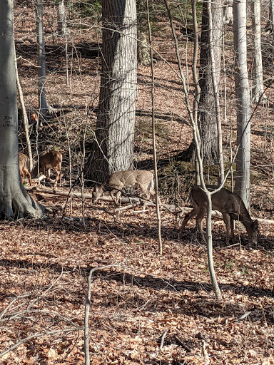 Sand Run Metro Park - Thumbnail
