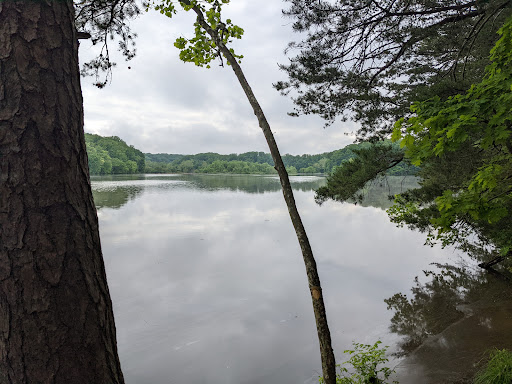 Accotink Dam - Thumbnail