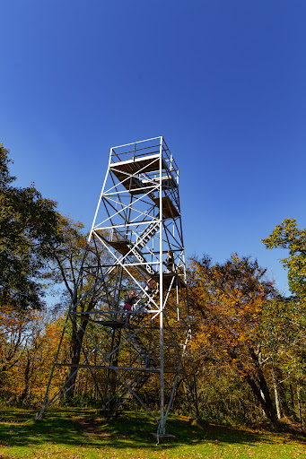 Flat Top Lookout Tower