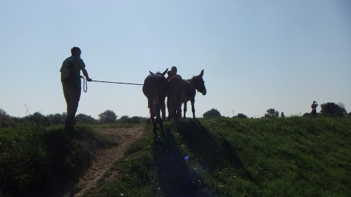 Montagne di legami, trekking Pisa, Lucca, Livorno, itinerari a piedi in Toscana ed Emilia Romagna - Thumbnail