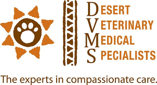 Desert Veterinary Medical Specialists - Thumbnail