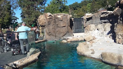 Photos of Turtle Back Zoo