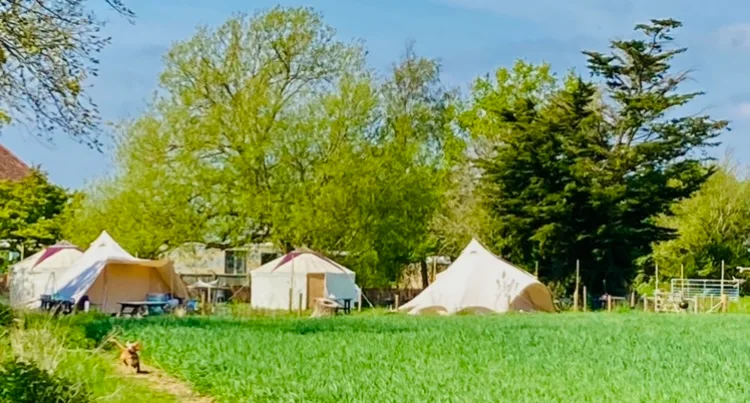 Ryebank Corner Glamping Campsite