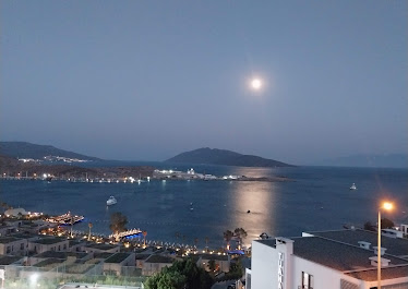 Alba Bodrum Emlak