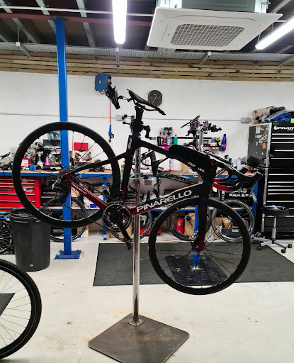 RM Cycles - Visual