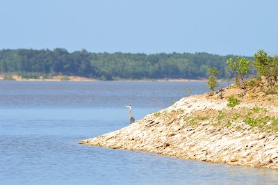 Kiamichi Park