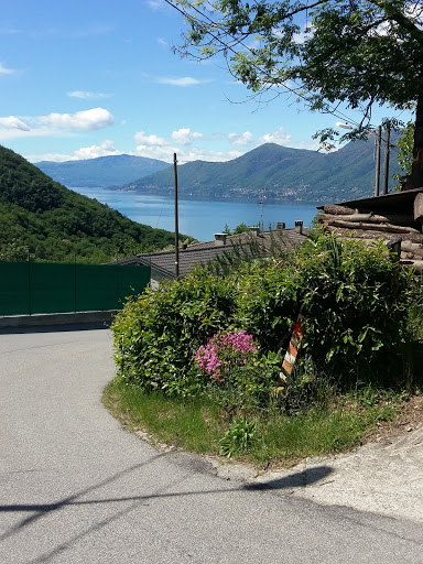 Gatta Roberto Domenico - Thumbnail