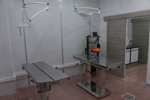 EXÒTICS I +, CLÍNICA VETERINARIA EN LLUCMAJOR - Thumbnail