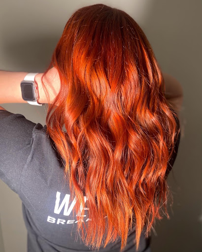Phases Salon - Visual