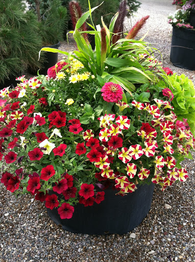 Skyview Landscape Nursery - Thumbnail