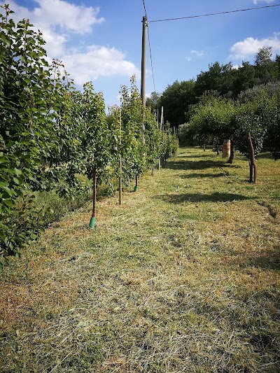 Mnemosine, il Parco di Onzo