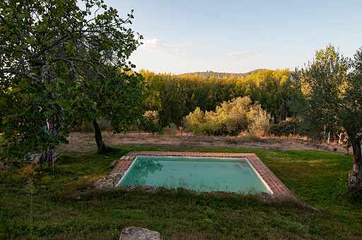 Vivienda rural Olivar del Chanza - Thumbnail