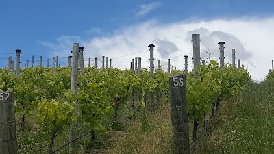 Photos of Rippon Winery