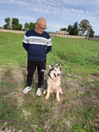 Ambulatorio Veterinario Dott.ssa Mengoli - Thumbnail