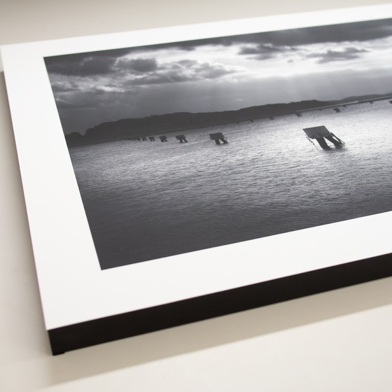 写真スタジオ パルピレ