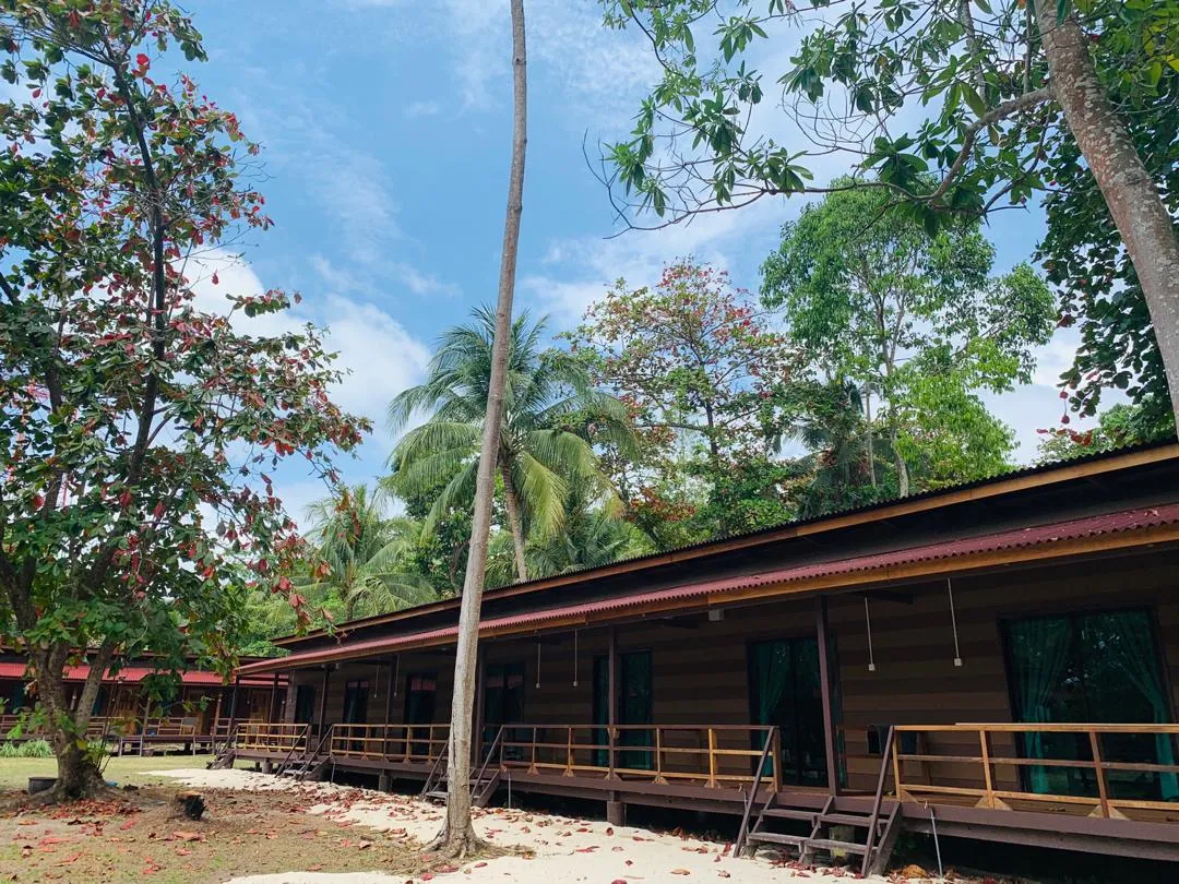 D KAPAS PARADISE
