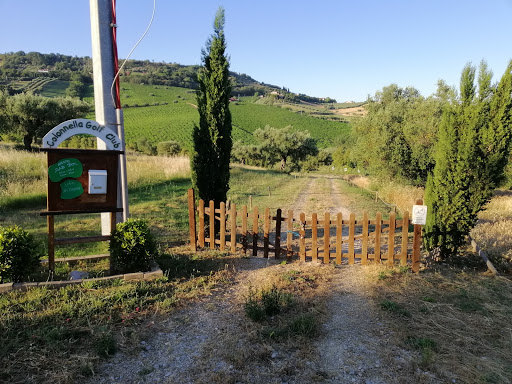 Colonnella Golf Club asd