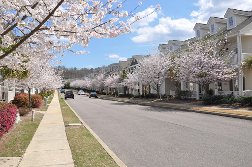 David Mackle, ARC Realty