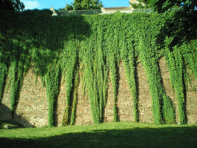 Belgrade Fortress