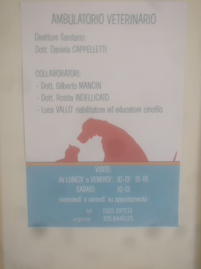 Surgery Veterinarian D.Ssa Cappelletti D.