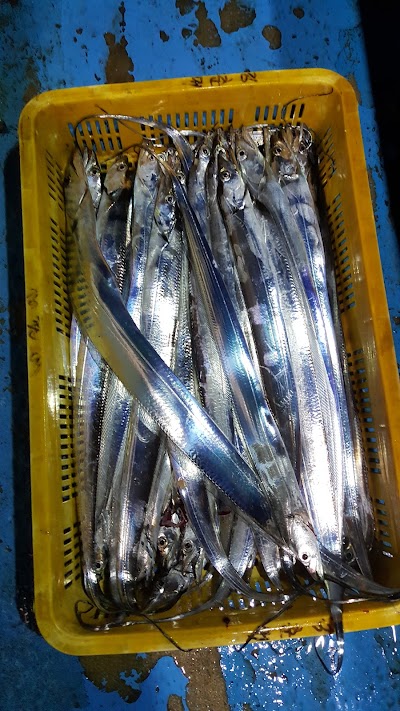 Photos of 남해이야기