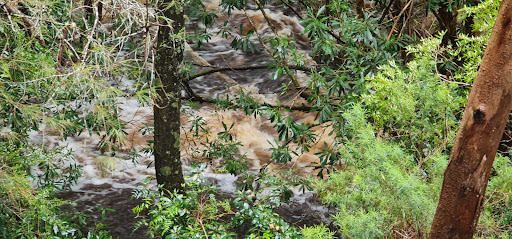 Yeerung Gorge - Thumbnail
