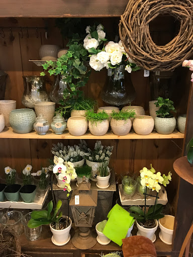Style & Bloom - Visual