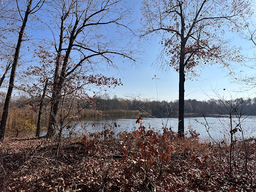 Grapevine Lake Trailhead Gallery - United States