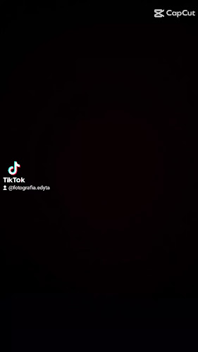 Edyta Sieńkowska Fotografia