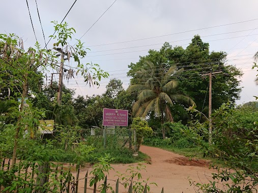 Kubaloluwa Kanishta Vidyalaya, Author: Kaushalya Ilukwaththa